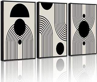 Drsoum Black and White Abstract Framed Wall Art Decor Duotone Minimal Da...