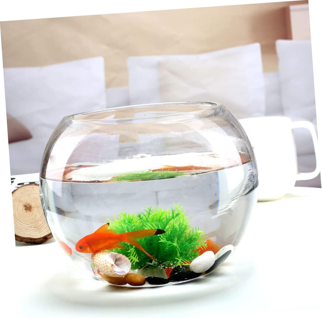 2pcs Round Glass Moss Terrarium Container for Hydroponic Plants Creative Decor for Room Office and Garden Micro Landscape Bottle for Succulents and Flowers