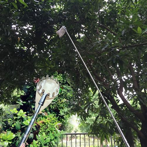 raccogli asparagi pinza frutta Palo Raccoglitore Di Frutta In Metallo Con Cesto Telescopico, 2,5 M - 10 M Bastone Allungato Attrezzo Per La Raccolta Della Frutta Da Frutteto/ Pali Per La Raccolta Dell