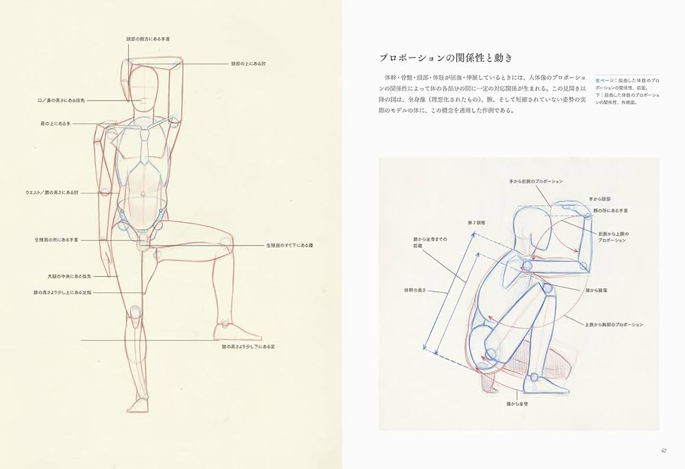 美術解剖図説　オックスフォード Amazon.co.jp: オックスフォード美術解剖図説 : スティーブン R