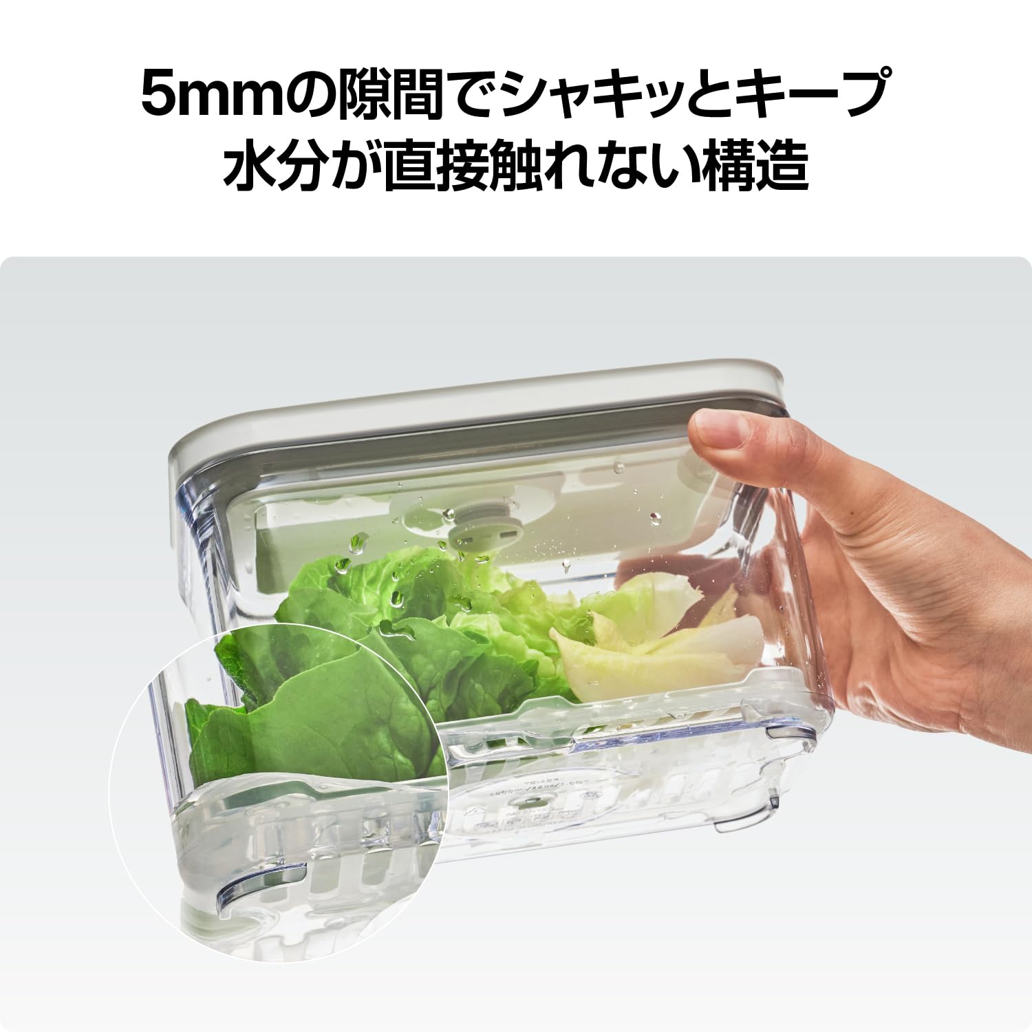 vakuen 真空保存容器 9個セット Amazon｜VAKUEN コランダートレイ 9個セット｜3種類の形状｜BPAフリー