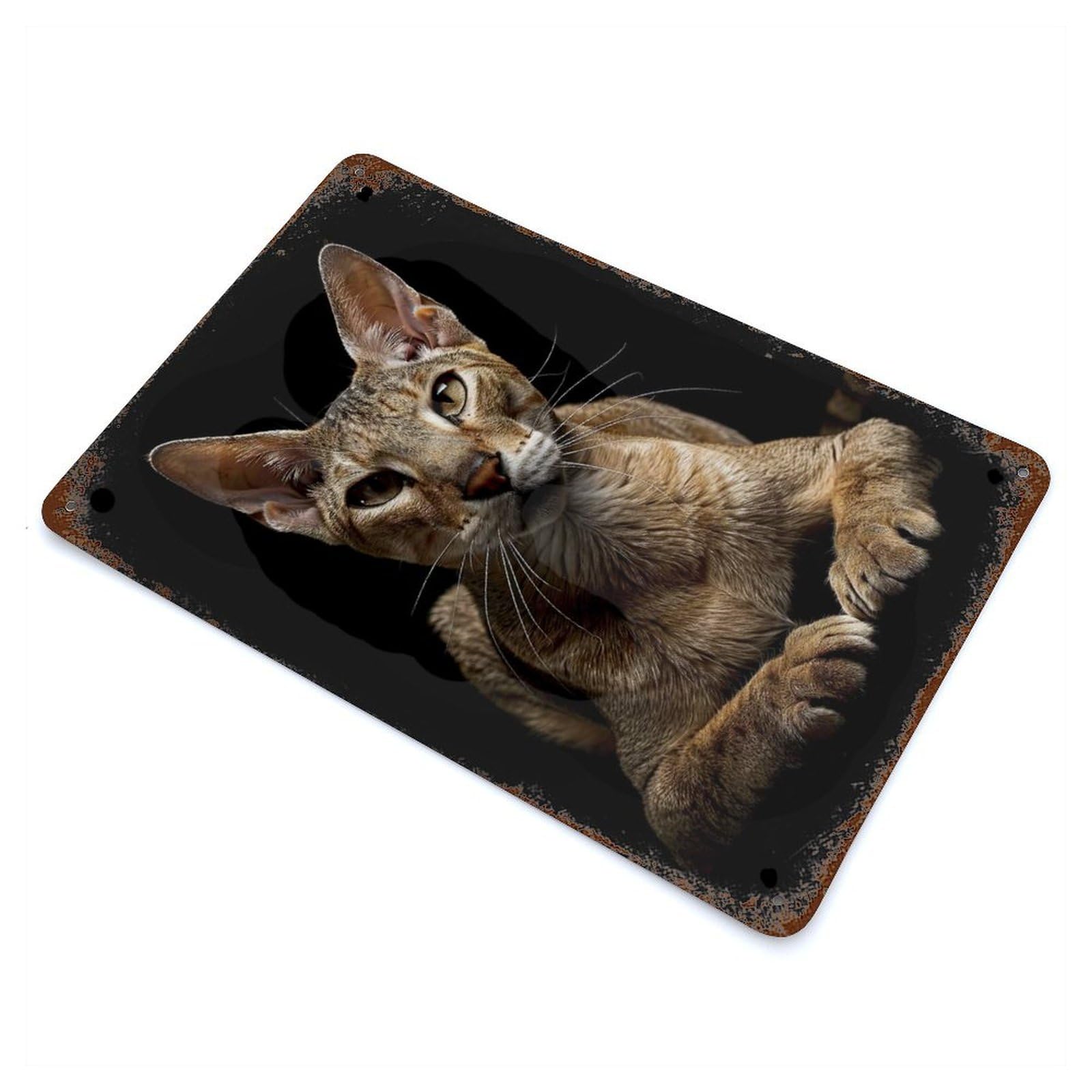 Garage Style Oriental Shorthair Decorative Tin Sign 11.8"x7.9", Farmhouse Wall Decor for Bar And Workshop
