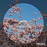 Nu Chill Recordings
