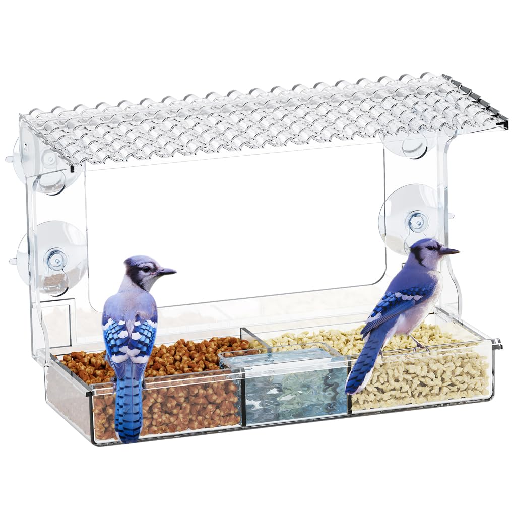 Mangeoire à oiseaux à fenêtre transparente avec ventouses et grand plateau