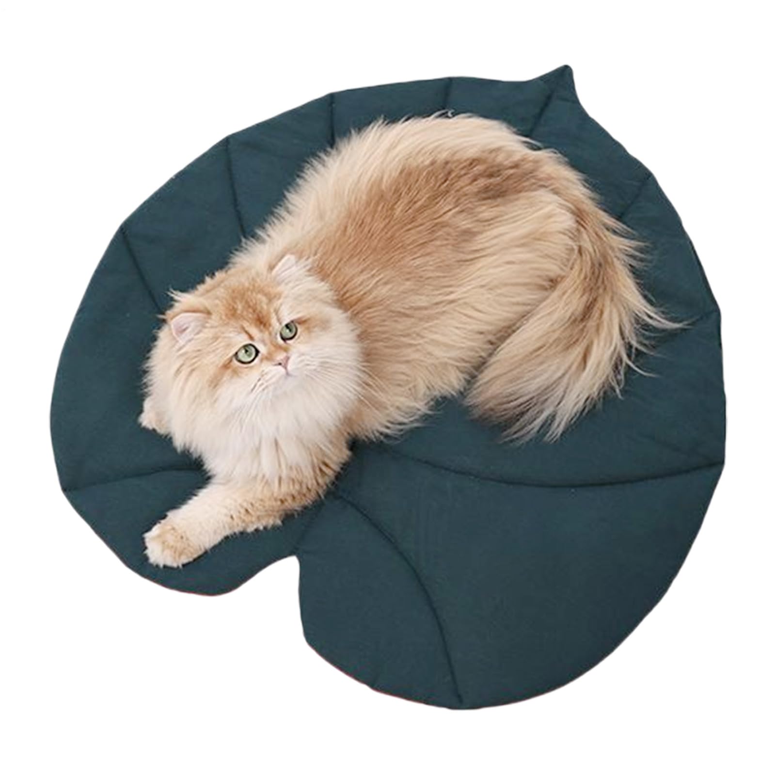Tapis de canapé pour chien idéal sur le sol de la maison ou en voiture