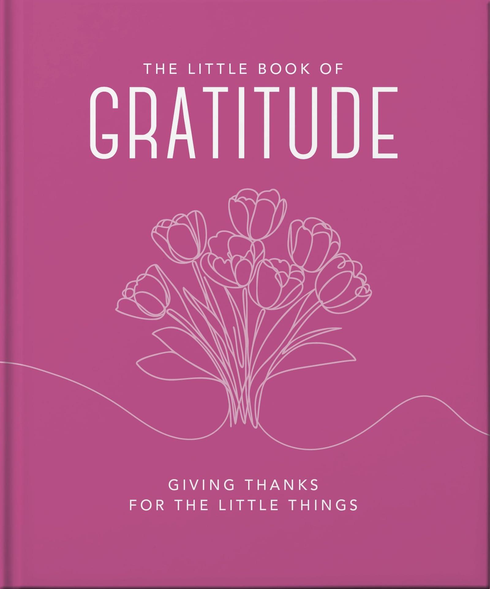 Little Book Of Gratitude