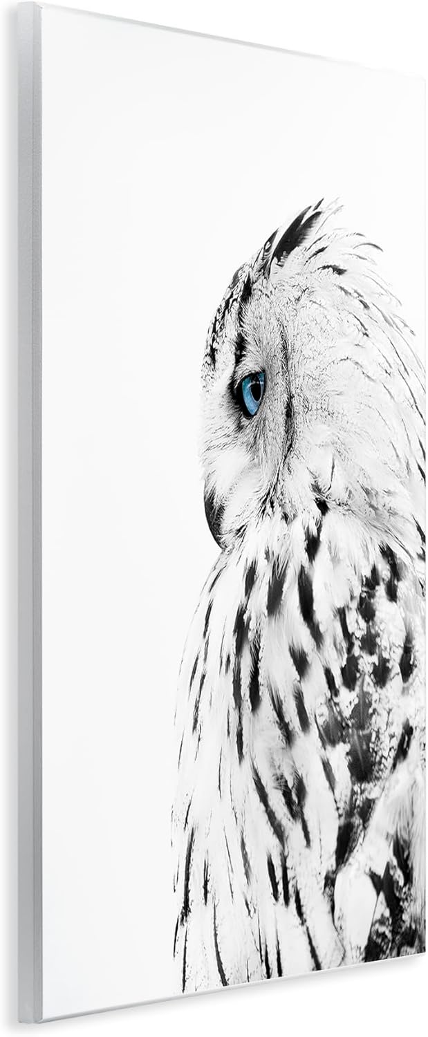 Stupell Industries 'Snow Owl Peering Blue Eyes', Wall Plaque Art, 13 x 19 Inches, Easy to Hang and Sturdy, Made in USA, by Design Fabrikken