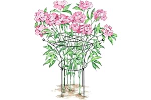 Essex Plant Support: A Robust Framework for Thriving Gardens