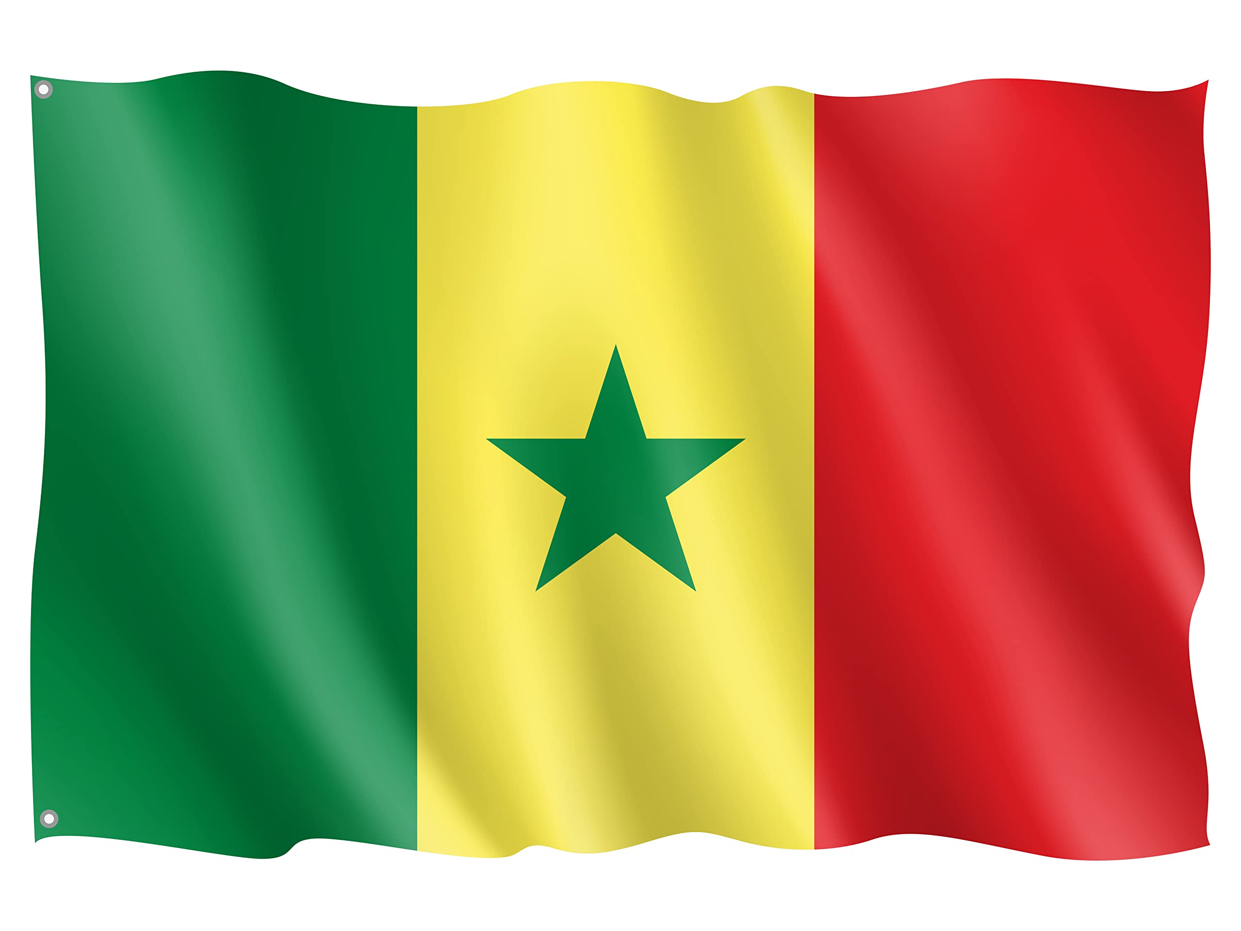 OEDIM Flag of Senegal, Multicoloured, 150X85CM - Image 3