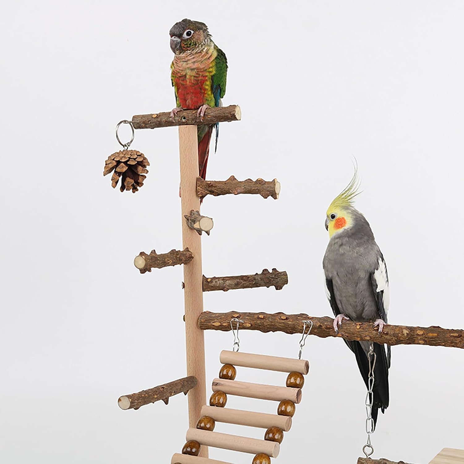 Bird Playground, Parrot Perch Stand, Natural Wood Parrot Playstand with Feeder Cups, Bird Cage Accessories, for Cockatiel Parakeet Lovebird Budgie