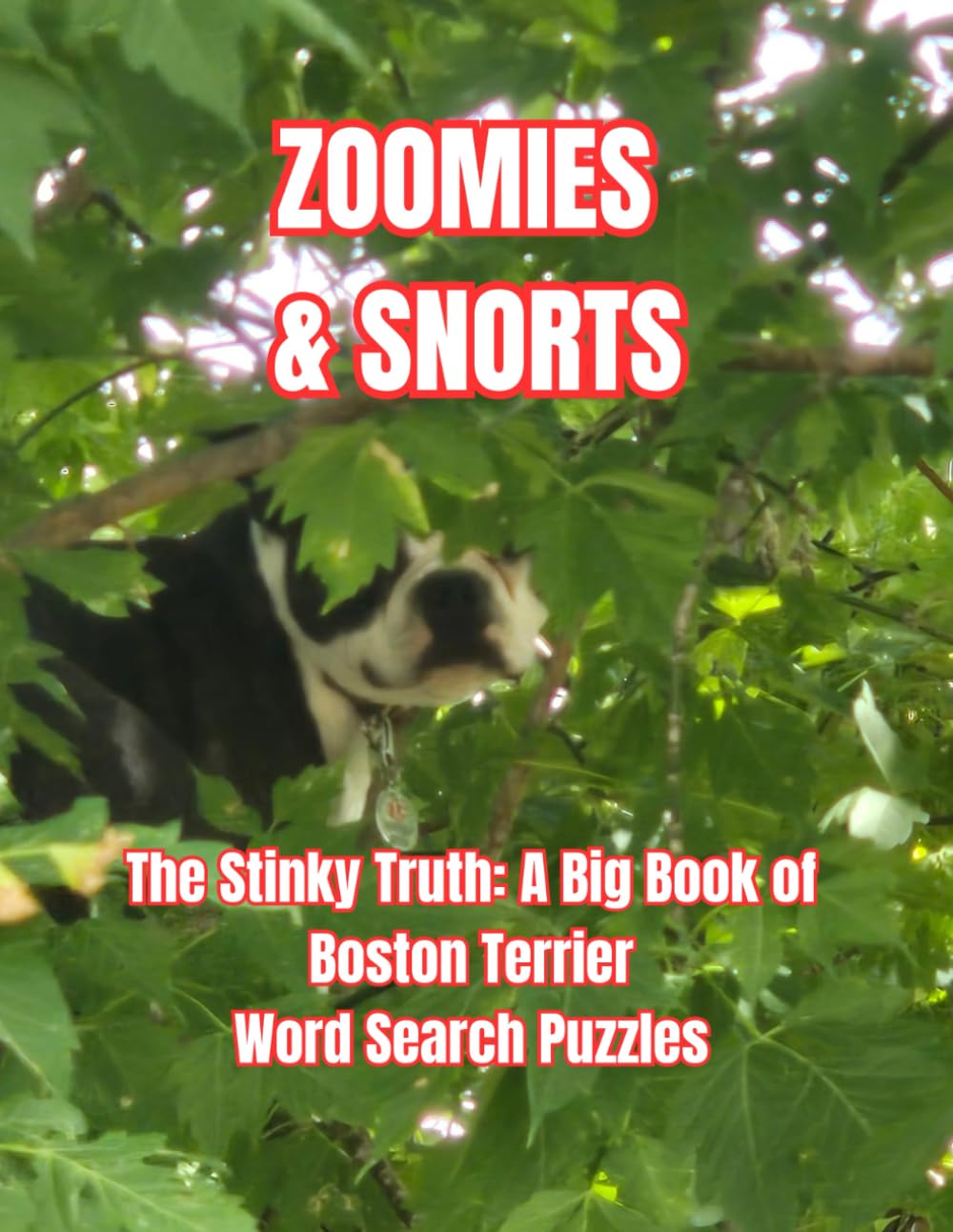 ZOOMIES & SNORTS: The Stinky Truth: A Big Book of Boston Terrier Word Search Puzzles