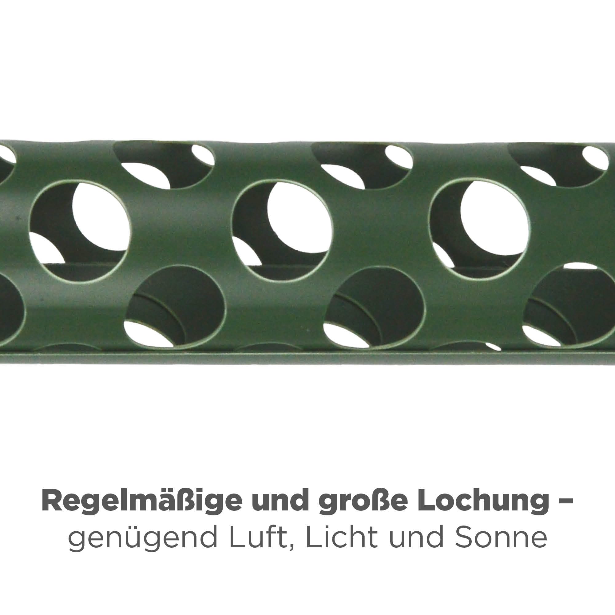blizz-z Baumschutz Wild-Verbiss grün (Höhe 120 cm), Durchmesser: 85 mm (5 Stück) | Stamm-Schutz, Rindenschutz, Vermeidung Wildtier Fraßschäden bei Nadel- und Laubbäumen | Made in Germany