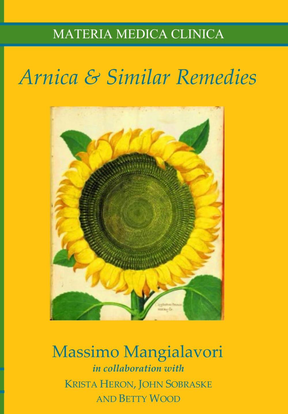 Arnica & Similar Remedies: 6 (Materia Medica Clinica)