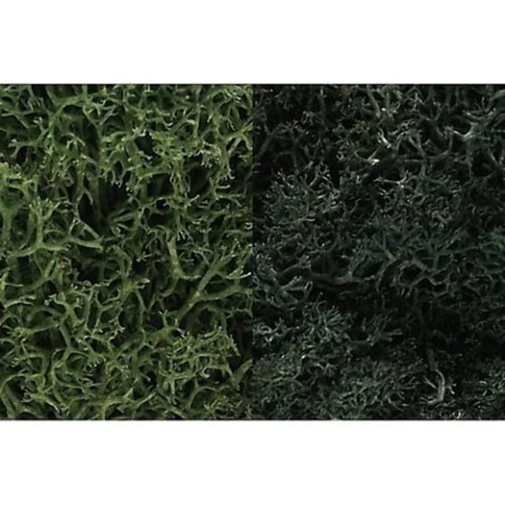 Dark Green Mix Lichen Woodland Scenics