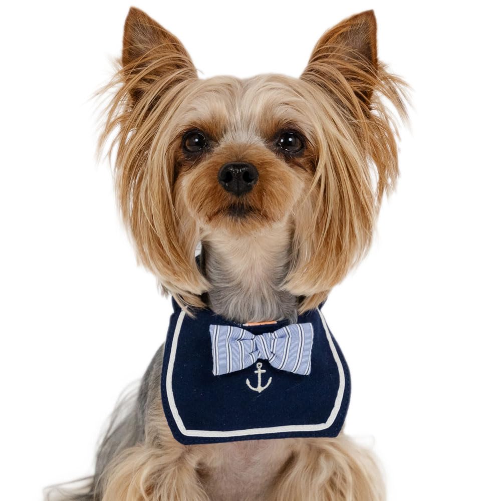 おひさまペットパラダイス 犬服 ssまとめ売り ペットパラダイス お祭り法被 《金魚》 小型犬 / PET PARADISE