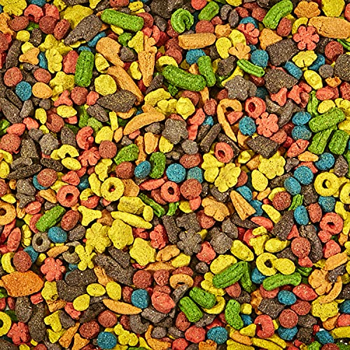 Kaytee Exact Rainbow Large Pet Parrot Food, 20 Pound #TOP5