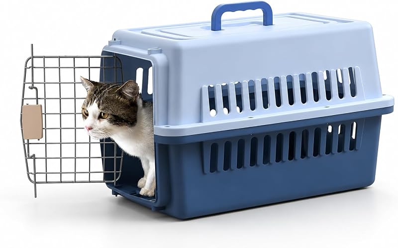 Caixa de transporte rígida para cães e gatos, plástico flexível, azul, Grande, 57,91 x 35,81 x 33,78 cm