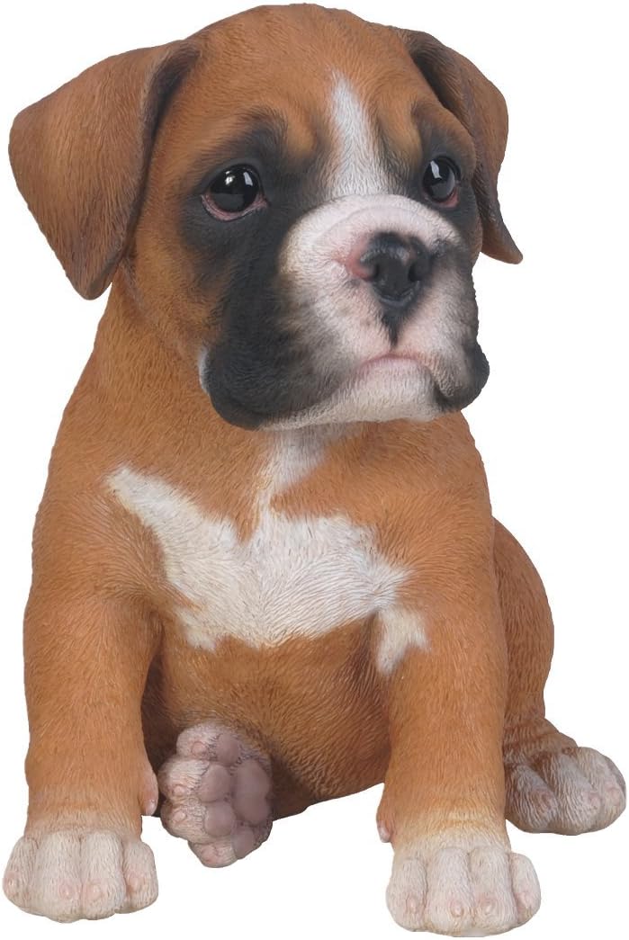Vivid ArtsPet Pals - Boxer Puppy