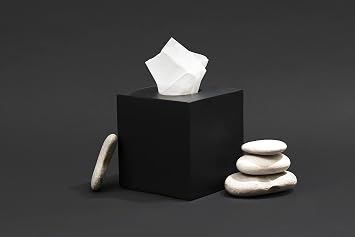 Essentra Home Matte Black Collection Square Tissue Box Cover (Pack of 2)