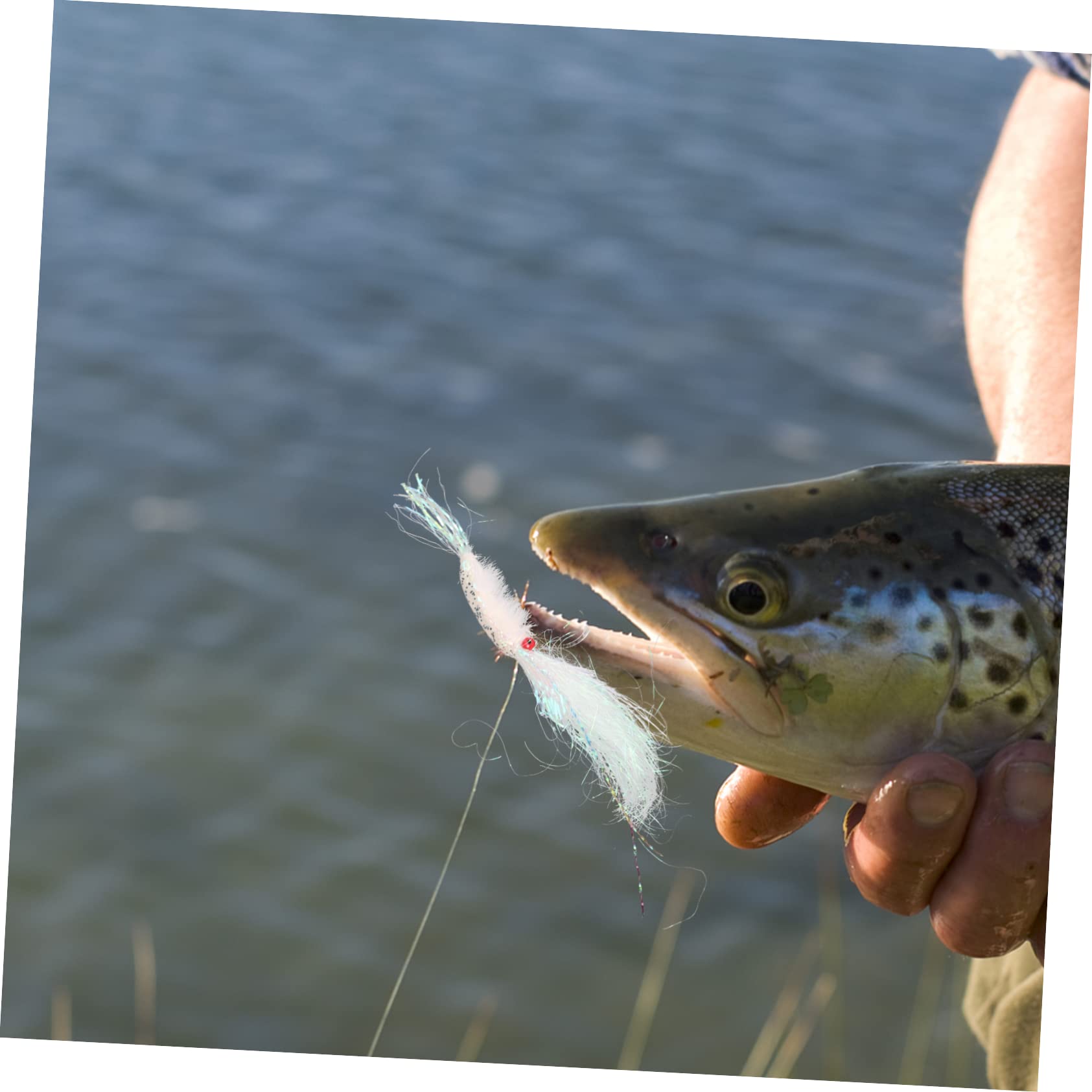 BESPORTBLE Lot De 5 Boîtes De Leurres De Pêche Leurres Spinnerbait Jigs Leurres Deau Douce Appâts De Natation Résistants À Lusure Équipement De Pêche Artificiel