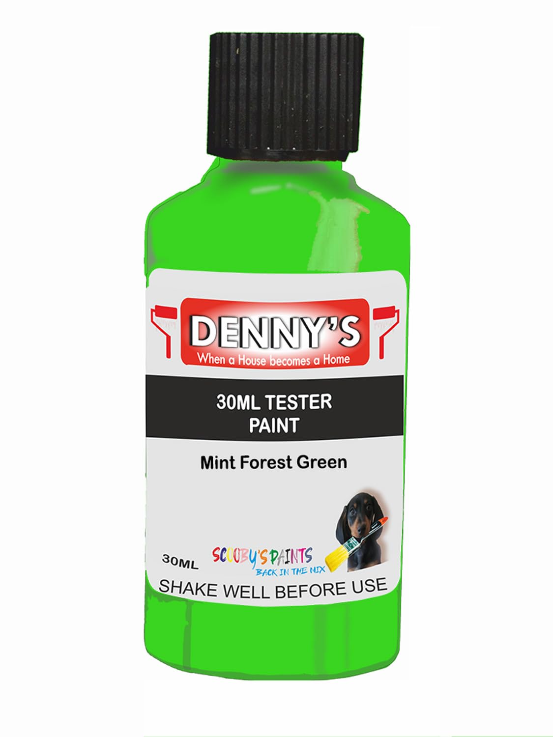 SCOOBYS PAINTS BACK IN THE MIX Chalk Emulsion Matt Paint, Water-Based, No Primer Required, For Walls and Furniture Light Green, (Mint Forest Green, 30ml Colour Tester)