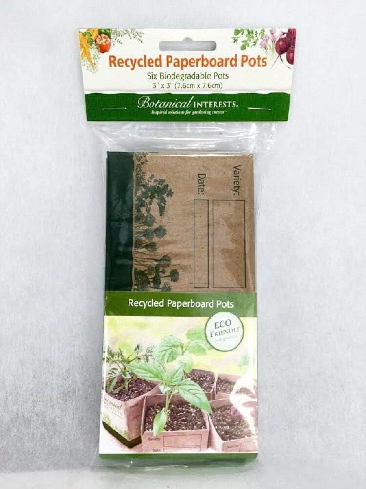 HATCHMATIC -green : 50 Pcs/pack Monstera variegated seeds Palm Tree turtle, rare tree,mixed color