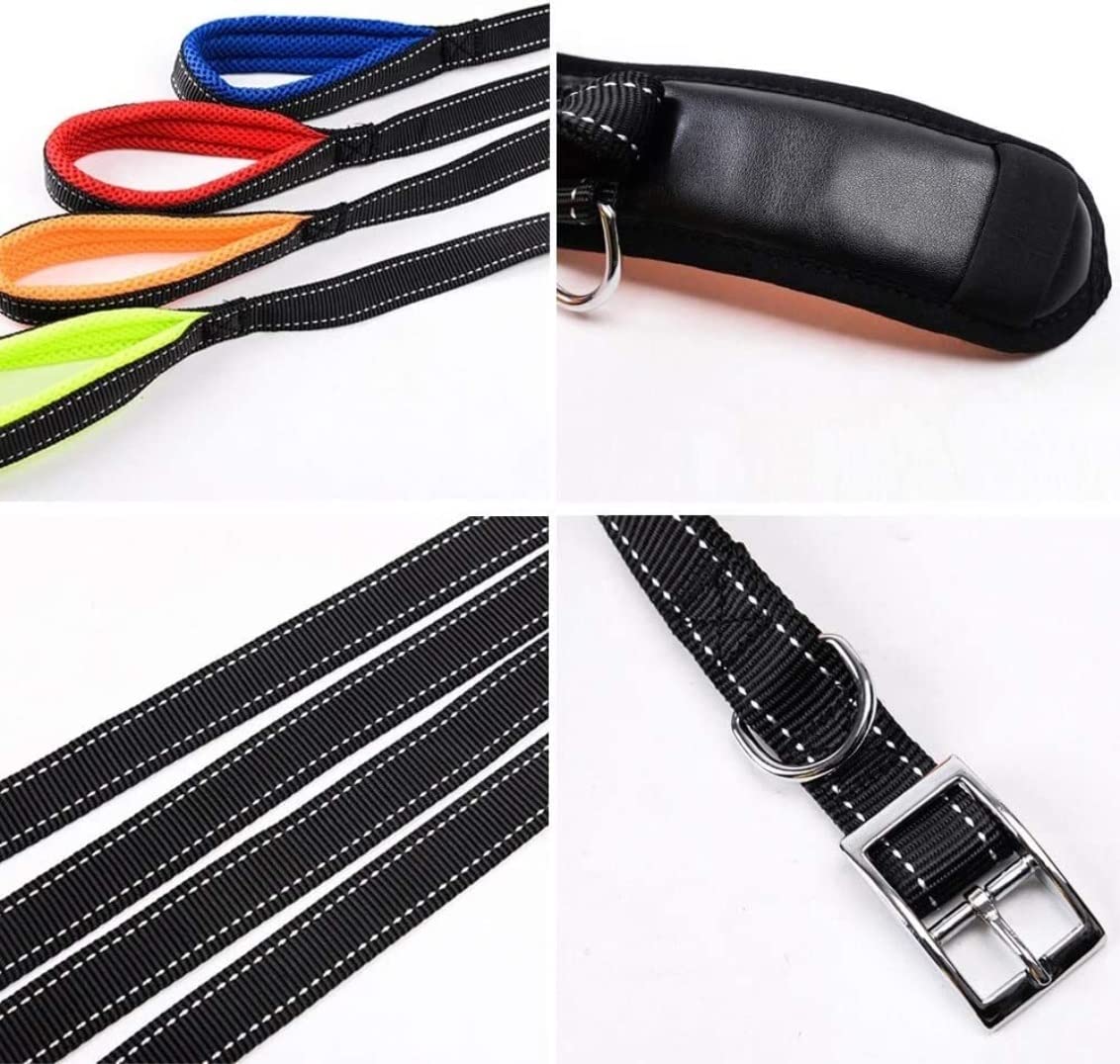 Correa Perro Correr Collar De Nailon para Perros Y Mascotas, Correas Entrenamiento Ajustables, Collares Seguridad para Pequeños Medianos Antideslizantes Reforzada(Rot,2.5cm*120cm)