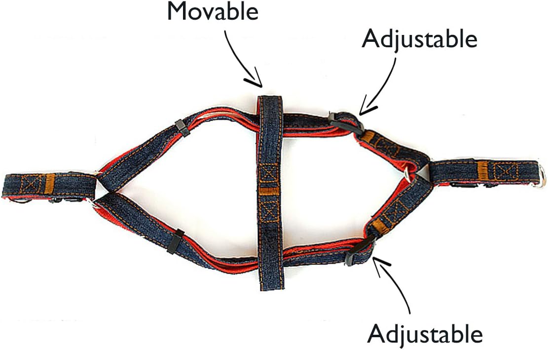 OLIVERY No-Pull Dog Leash Harness Set, Free ID Tag, Adjustable Heavy Duty Denim Pet Supply for Large/Medium/Small/Extra-Small Pet Dogs Training & Everyday Walking, Size L, Red