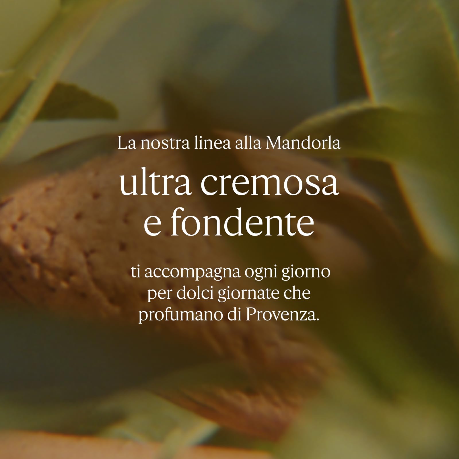 L'OCCITANE - Pasta Deliziosa Esfoliante Corpo Mandorla (Amande) - 200 ml - Esfolia e nutre - Prodotto in Francia