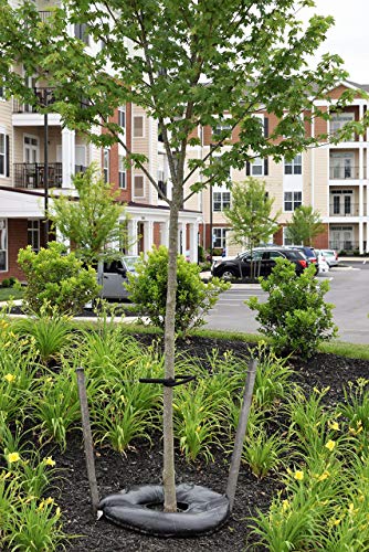 TreeDiaper® 36' Tree Watering Mat - AUTO Refills with...