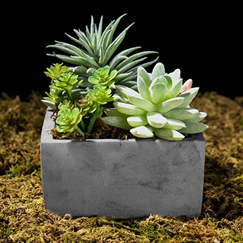 Mygift Artificial Succulent Plants Arrangement In Grey Square Cement Pot #TOP2