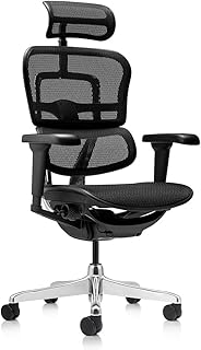 Fauteuil de Bureau Ergonomique Usage intensif ERGOHUMAN New Model 2024