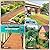 Tatuo 2 Pack Wooden Garden Pathway Roll Out Walkway Outdoor Path Wood Flooring Boardwalk Pavers for Garden Backyard Patio Beach Outdoor Wedding Party (17 Inch X 8 ft,Straight)