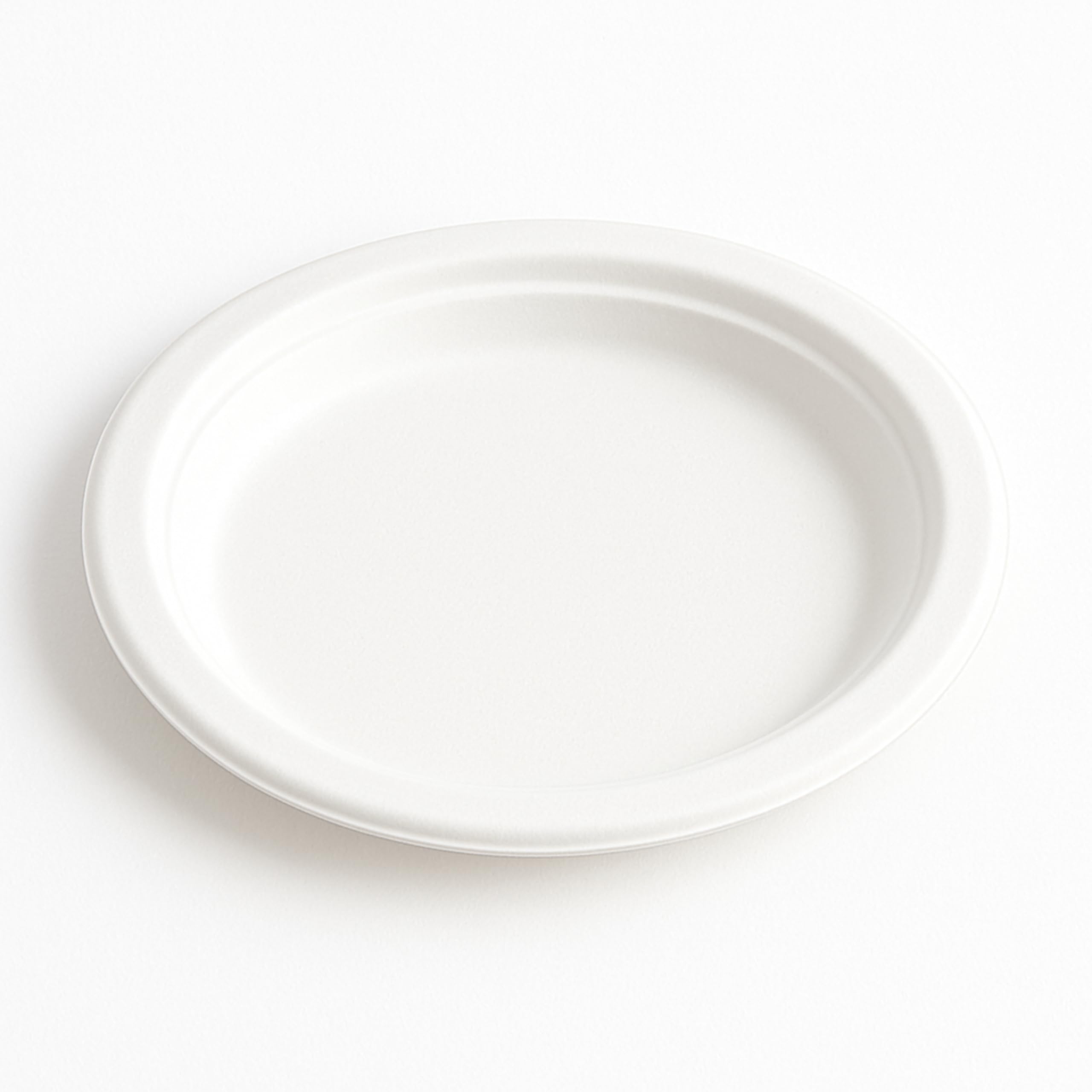 [20 x 26 cm - 125 piezas platos ovalados planos, biodegradables compostables ecológicos de bagazo - desechables, resistentes y reciclables, ideales para fiestas, catering, eventos