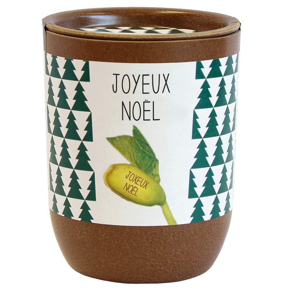 Feel Green Message Bean-Merry Christmas Gift Idea (100% Biodegradable), Grow-Your-Own/Ready-to-Push Kit, Growing Wishes, The Ecological Pot 9 x 7 cm, Made in Austria