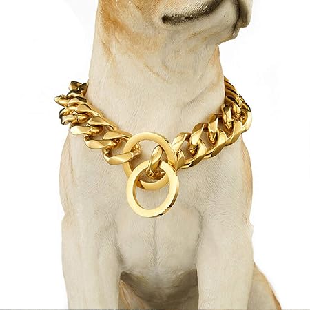 cuban link dog collar