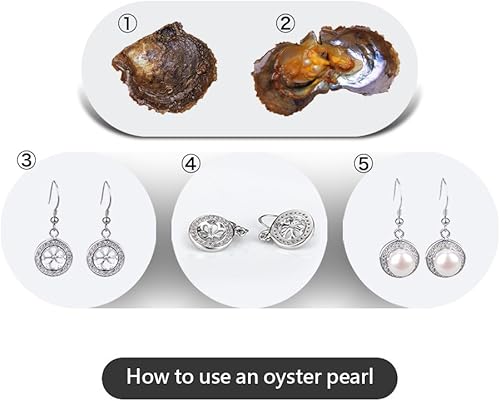 Miniatura 6 de LGSY 10 ostras cultivadas Akoya de agua salada de 0.236 a 0.315 pulgadas con perlas en el interior a granel para la fabricación de joyas de perlas