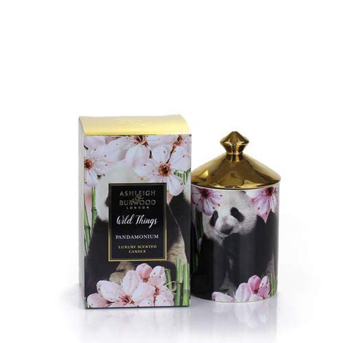 ASHLEIGH & BURWOOD Wild Things Duftkerze Pandamonium in Geschenkbox, grüner Bambus