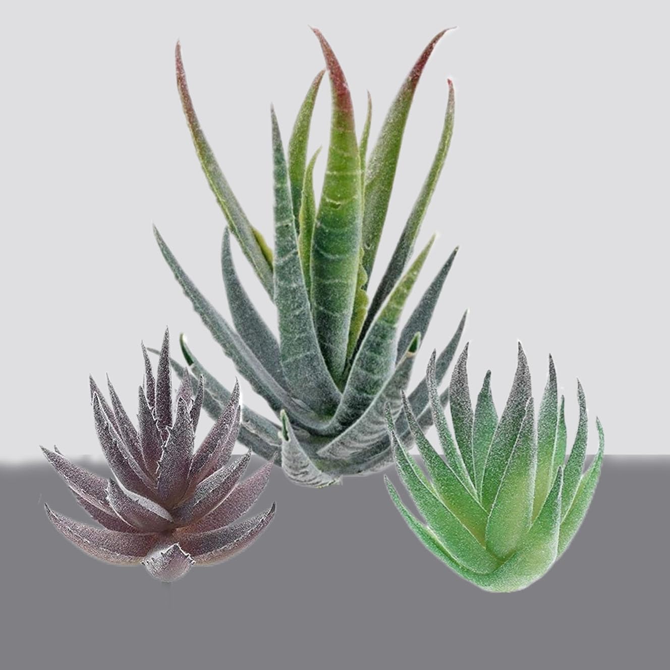 3Pack Artificial Succulent Plants Realistic Fake Greenery Assorted Double Flocked Succulents Mini Arrangement Decorative Stems