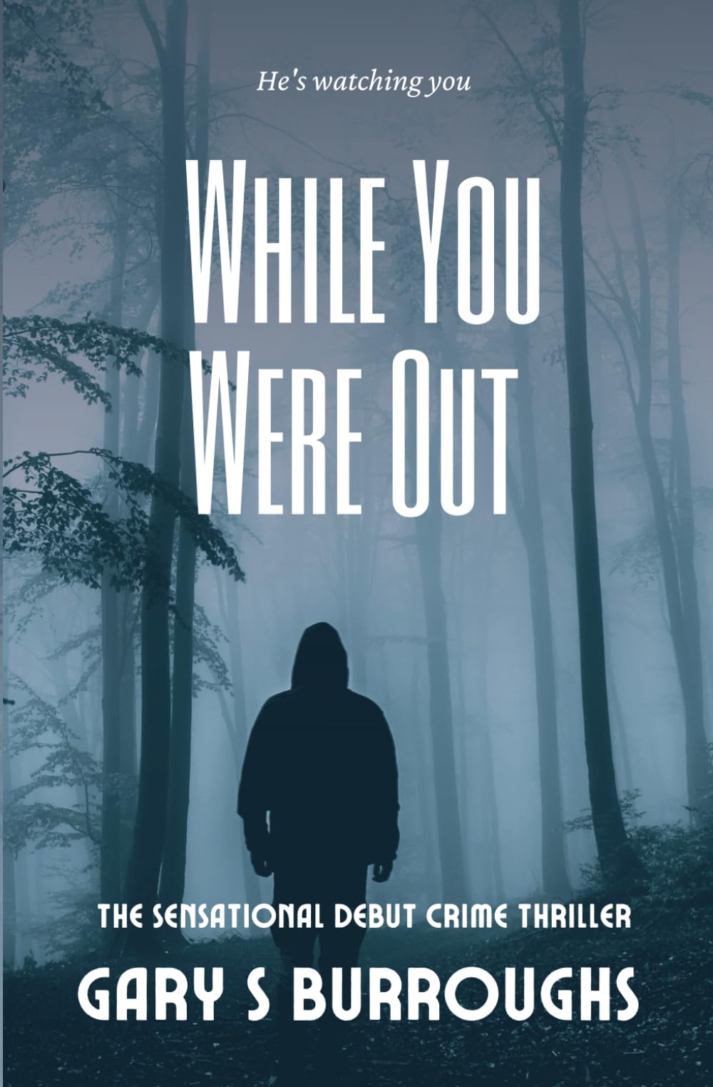While You Were Out: The 'Must Read' Crime Thriller of the year.