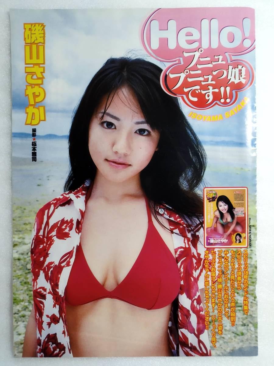 磯山さやか 水着切り抜き 7P wpb20040210