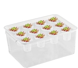 Aquaponic Pflanzer und Aquarium, Aquaponic Pflanzer und Aquarium für Fische | Pflanzen Pflanzgefäß | Betta Fischtankpflanzen Stecklinge Propagationsstation für Desktop -Dekorationen