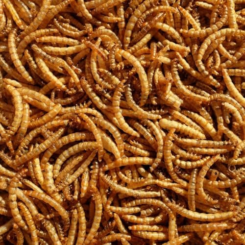 Premium Dried Mealworms 2.5 Litre