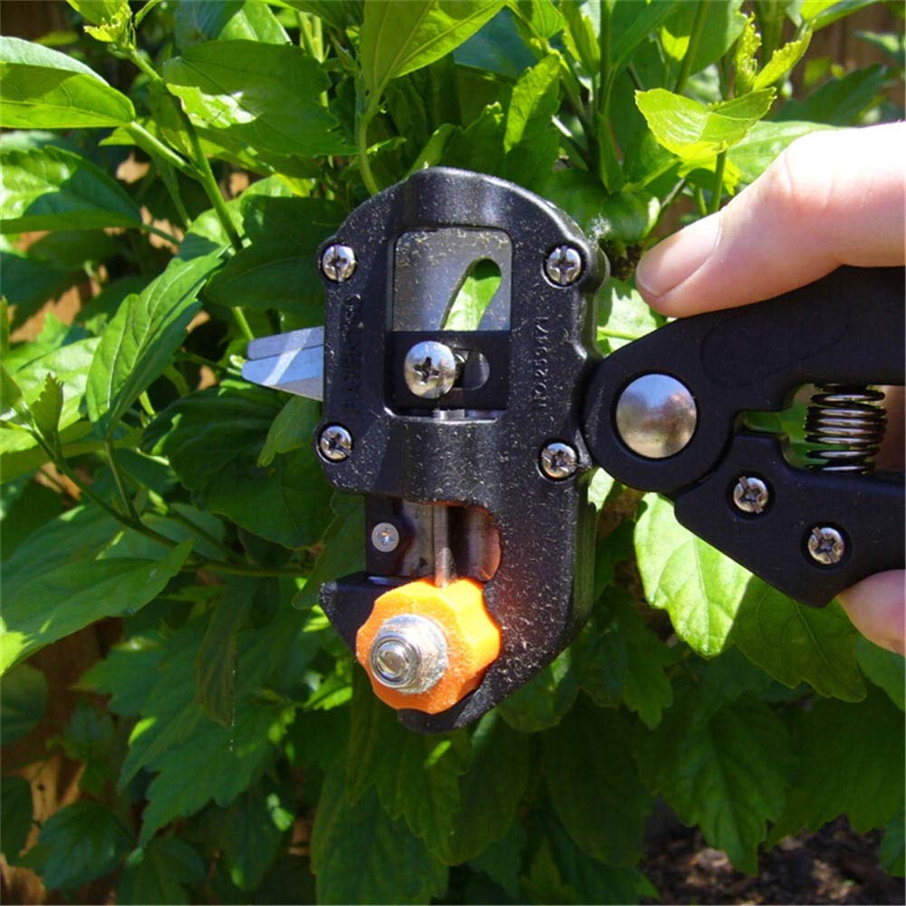 Attrezzo per innesto da Giardino, Forbici da potatura per Agricoltura, Forbici per vaccinazione di Alberi da frutto, Forbici da potatura con Nastro Adesivo