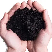 Terra Vegetal Pronta Para Plantio de Plantas Ecológico 2Kg