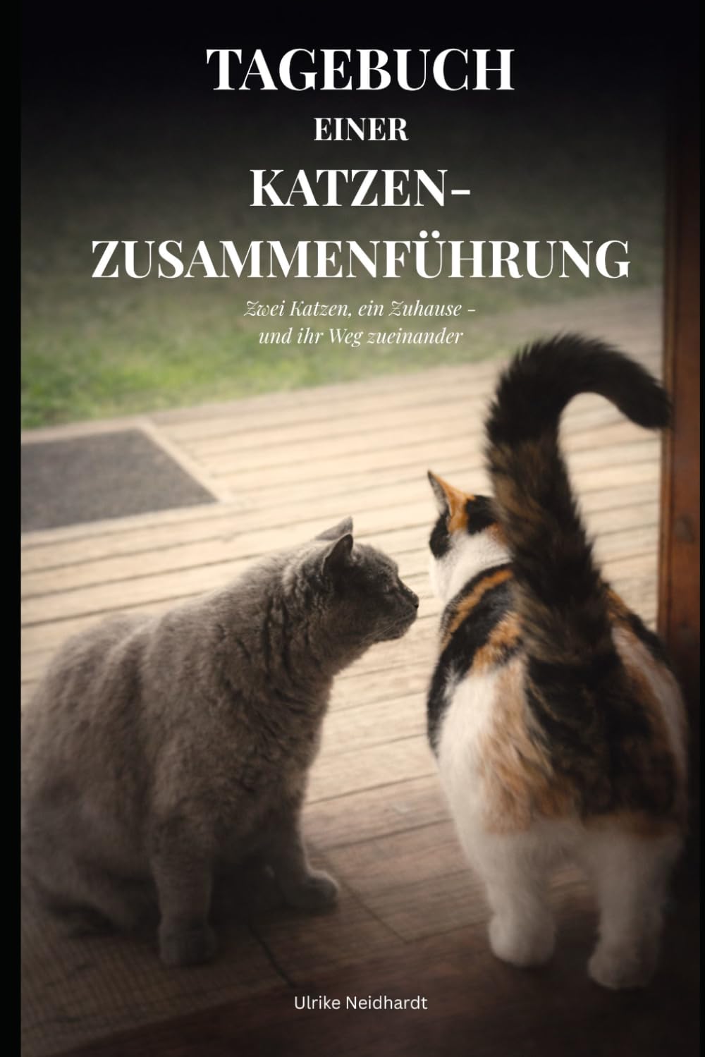 TAGEBUCH EINER KATZENZUSAMMENFÜHRUNG: Zwei Katzen, ein Zuhause - und ihr Weg zueinander
