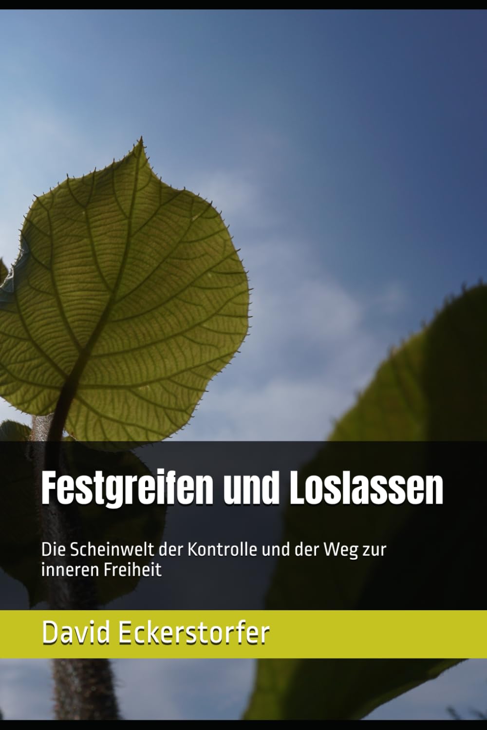 Festgreifen und Loslassen: Die Scheinwelt der Kontrolle und der Weg zur inneren Freiheit