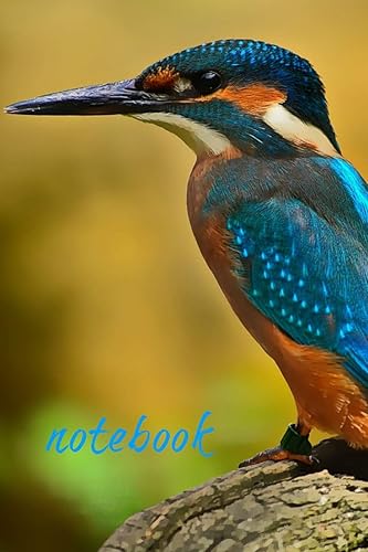 Notebook: Kingfisher Bird Homework Book Notepad Notebook Composition and Journal Gratitude Diary