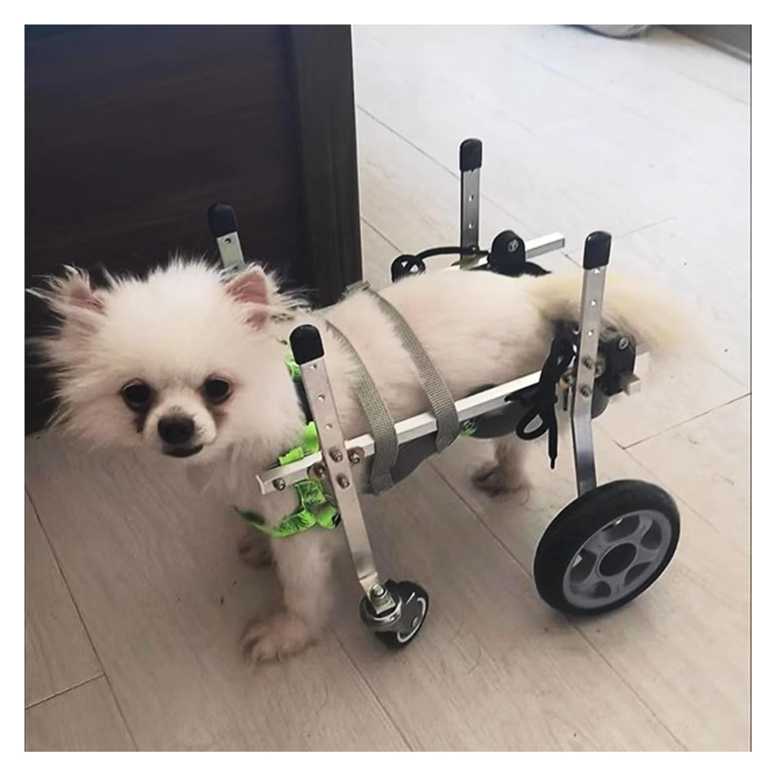 Fauteuil roulant pour petit chien handicapé à 4 roues
