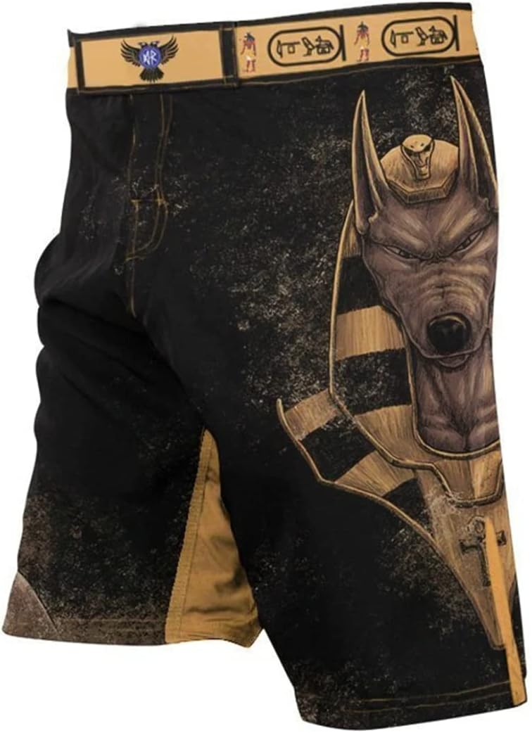 Raven Fightwear Men's Anubis MMA Fight Shorts
